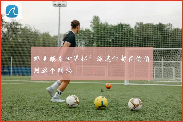 哪里能看世界杯?球迷们都在偷偷用这个网站