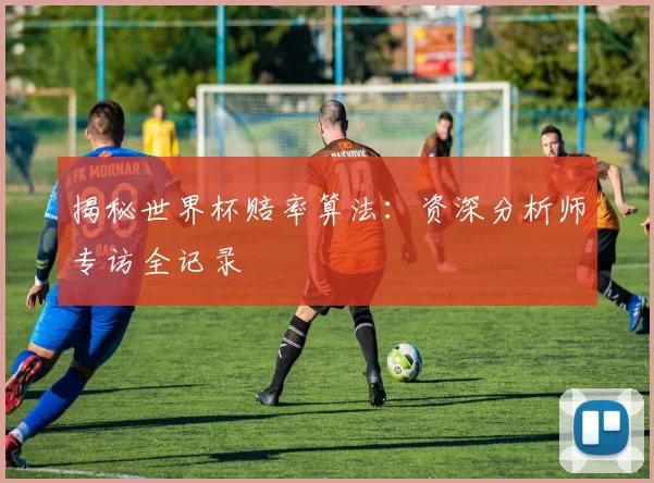 揭秘世界杯赔率算法:资深分析师专访全记录