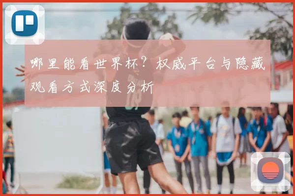 哪里能看世界杯?权威平台与隐藏观看方式深度分析
