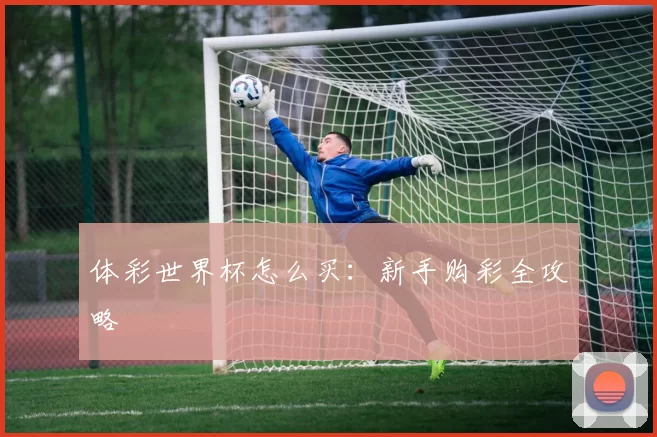 体彩世界杯怎么买:新手购彩全攻略