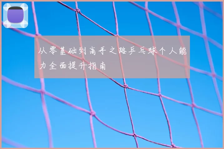 从零基础到高手之路乒乓球个人能力全面提升指南