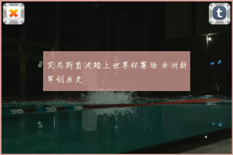 突尼斯首次踏上世界杯赛场 非洲新军创历史