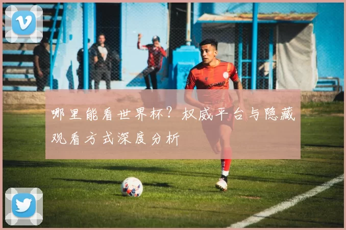 哪里能看世界杯?权威平台与隐藏观看方式深度分析