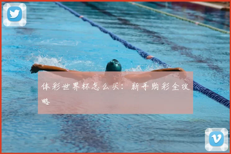 体彩世界杯怎么买：新手购彩全攻略