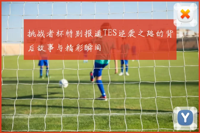 挑战者杯特别报道TES逆袭之路的背后故事与精彩瞬间
