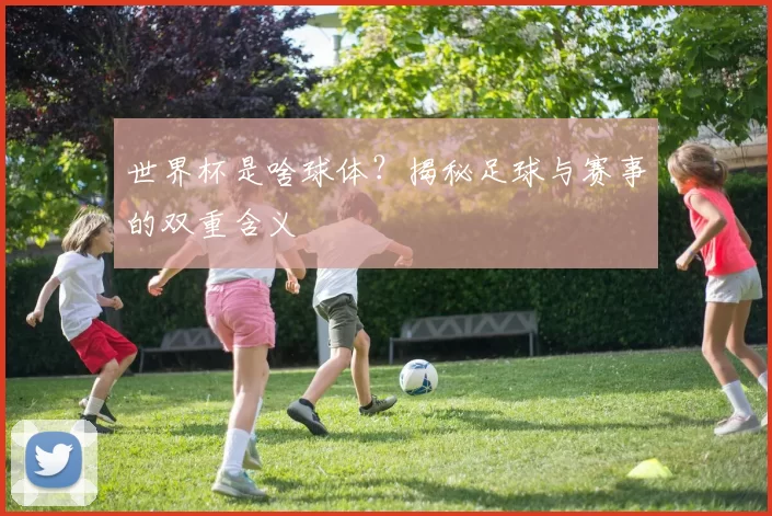 世界杯是啥球体?揭秘足球与赛事的双重含义