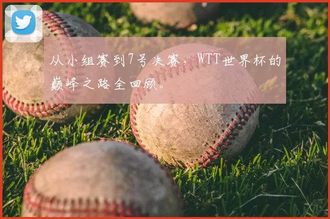 从小组赛到7号决赛,WTT世界杯的巅峰之路全回顾。