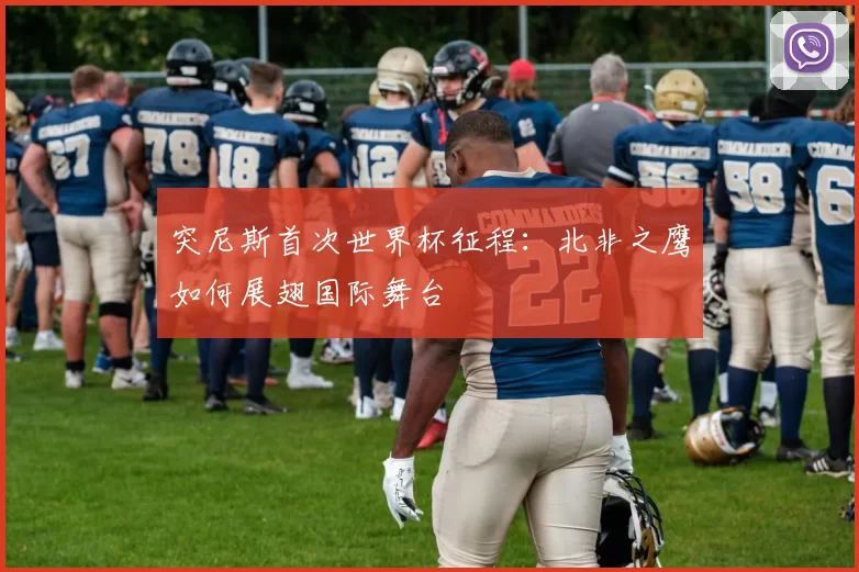 突尼斯首次世界杯征程:北非之鹰如何展翅国际舞台