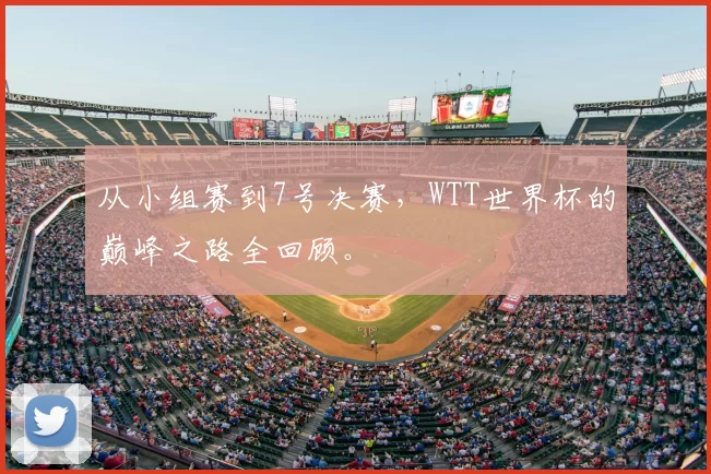 从小组赛到7号决赛,WTT世界杯的巅峰之路全回顾。