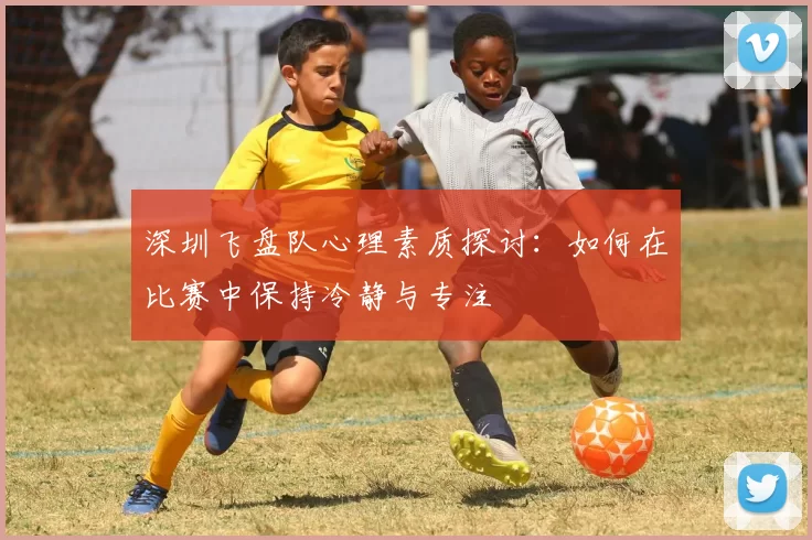 深圳飞盘队心理素质探讨：如何在比赛中保持冷静与专注