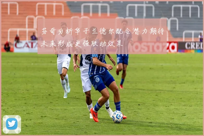 芬奇分析华子兰德尔配合潜力期待未来形成更强联动效果