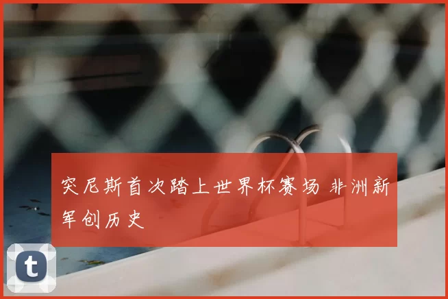 突尼斯首次踏上世界杯赛场 非洲新军创历史