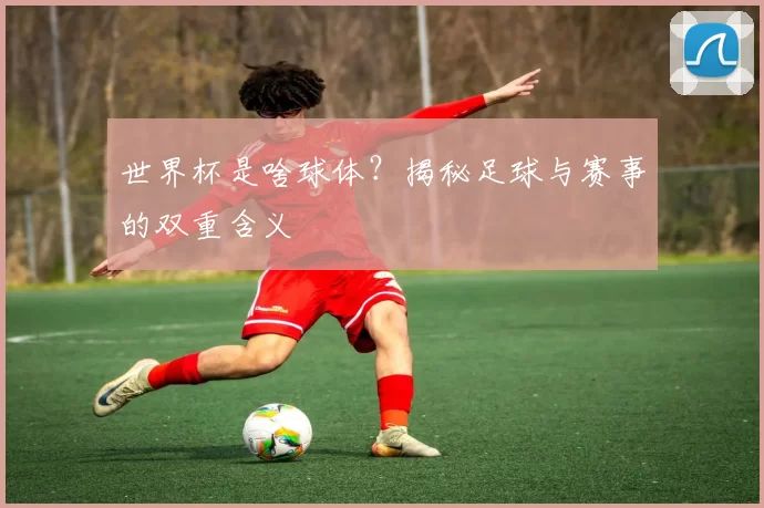 世界杯是啥球体？揭秘足球与赛事的双重含义