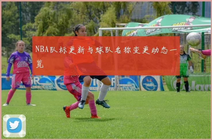 NBA队标更新与球队名称变更动态一览