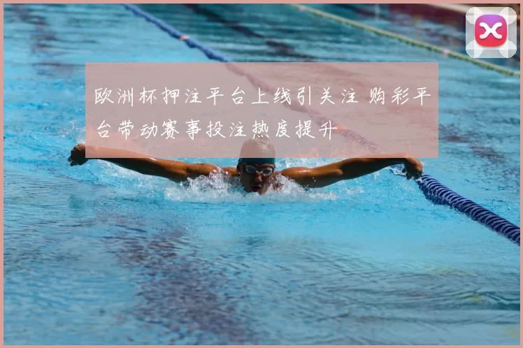 欧洲杯押注平台上线引关注 购彩平台带动赛事投注热度提升