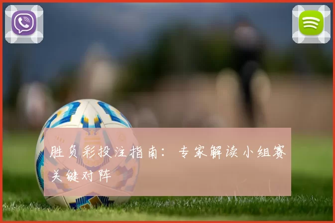 胜负彩投注指南:专家解读小组赛关键对阵
